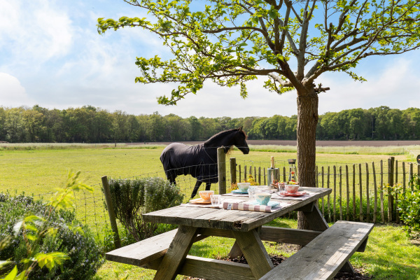 photo 46 Nij Amerika 9